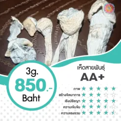 AA+ (3G.)
