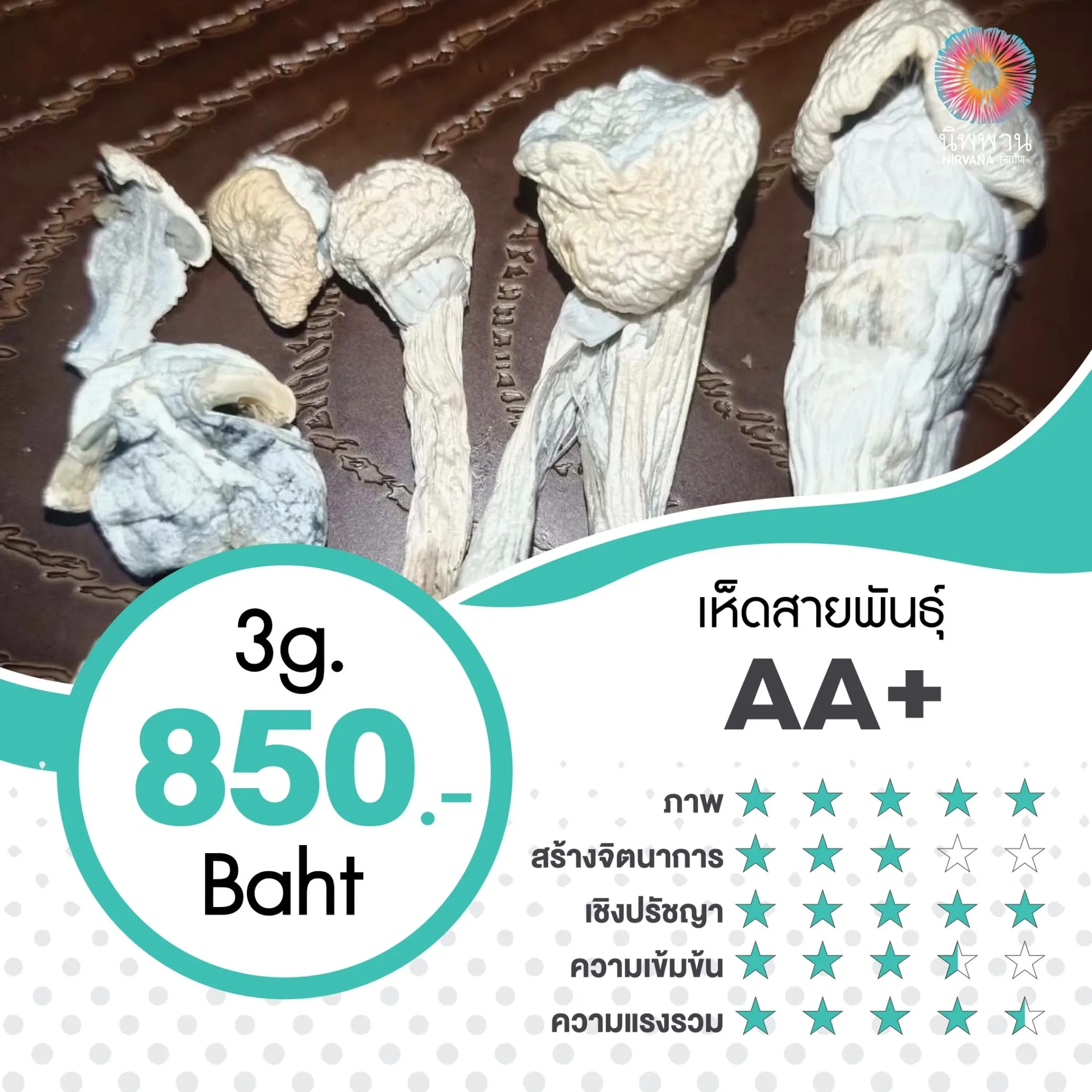 AA+ (3G.)