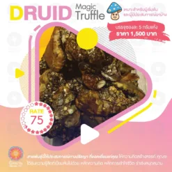 Druid (5G.)