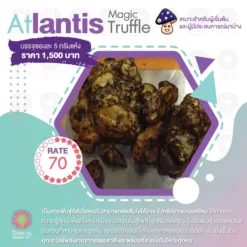 Atlantis (5G.)