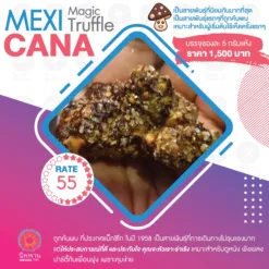 Mexicana (5G.)