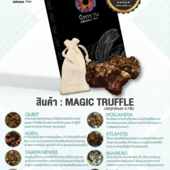 Tampanensis (5G.) - Image 3