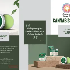 Alternative view of Cannabis Balm