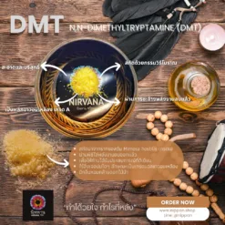 DMT